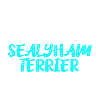 Sealyham Terrier