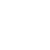 French Spaniel