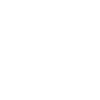 Bullterrier Bull Terrier