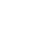 Biewer Terrier