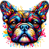 Fransk bulldog hund