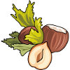 Hazelnut