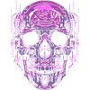 Cyberskull