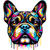 French Bulldog Dog