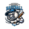 Street Baseball