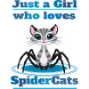 Chat araignées mignonnes
