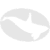 orca