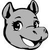 Hippo