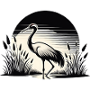 Crane Bird Watching