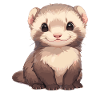 Ferret Frettchen