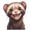 Ferret Frettchen