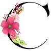 Elegant letter 'C' with flowers