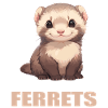Ferret Frettchen