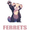 Ferret Frettchen