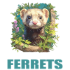Ferret Frettchen