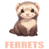 Ferret Frettchen