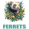 Ferret Frettchen