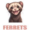 Ferret Frettchen