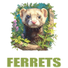 Ferret Frettchen