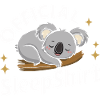 Koala Koala Koala Bear Animal