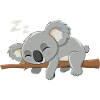 Koala Koala Koala Bear Animal