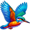 Kingfisher