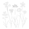 fleurs sauvages