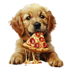 Chien