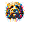 Splash Art Cockapoo Cockapoos Cockerpoo