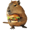 Capybara