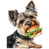 Hund