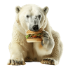 Polar bear
