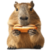 Capybara