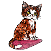Petit chat tigre brun rougeâtre