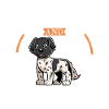 Coffee and Großer Münsterländer