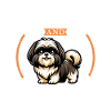 Café et Lhassa Apso