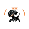 Coffee and Lithuanian Hound