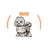 Coffee and Löwchen