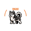 Coffee and Mackenzie River Husky