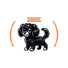 Café et Markiesje