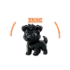 Kaffee und Ca de bestiar