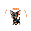 Coffee and Manchester Terrier