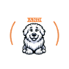 Coffee and Maremma-Abruzzo Shepherd Dog