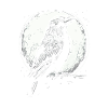 Because I’m Raven - that’s why!