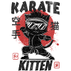 Karate Kittens