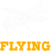 Pilot Airplane