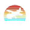 Pilot Airplane