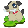 Os de chien