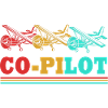 Pilot Airplane