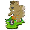 Squirrel Bike